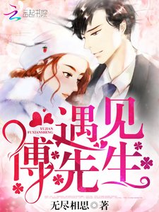 遇见,傅先生