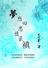 梦想回思忆最禛(清穿)