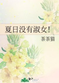 夏日没有淑女!